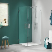 Sealskin Swingdeur voor Hoekinstap I AM 200x90 cm RVS